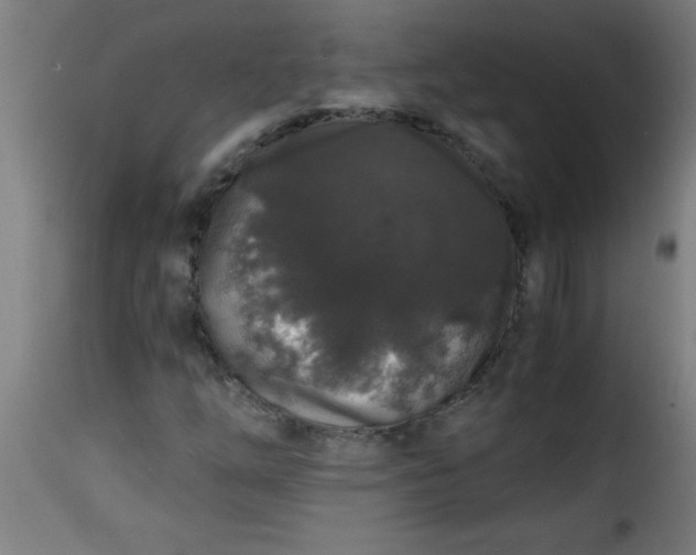 X0000115481254200911201831