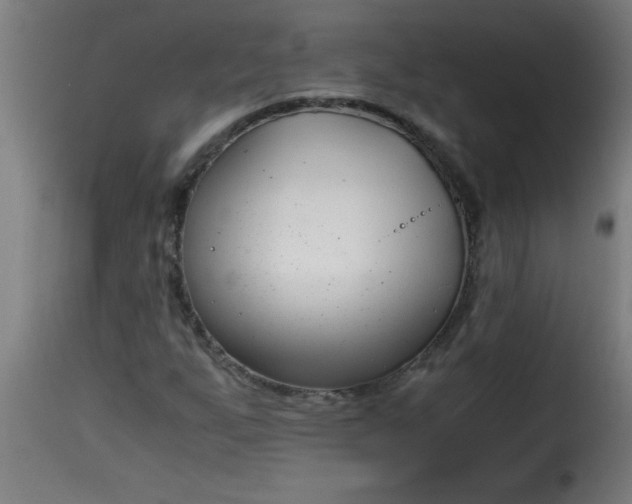 X0000115481255200911201831