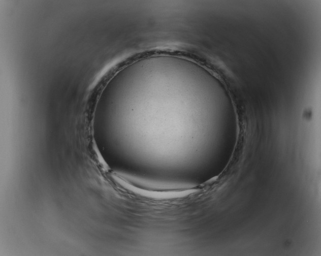 X0000115481256200911201831