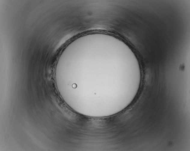 X0000115481258200911201831