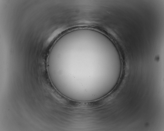 X0000115481259200911201831