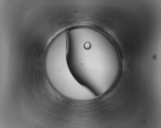 X0000115481260200911201831