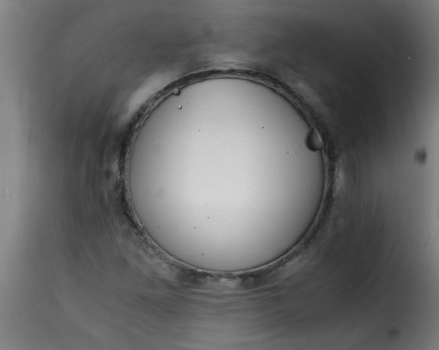 X0000115481261200911201831