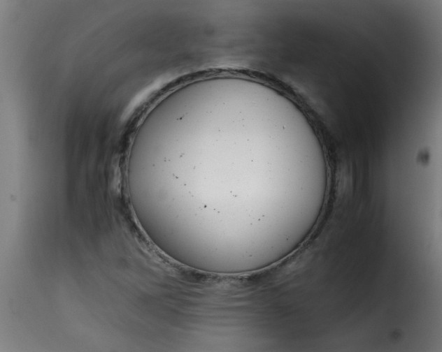 X0000115481262200911201831