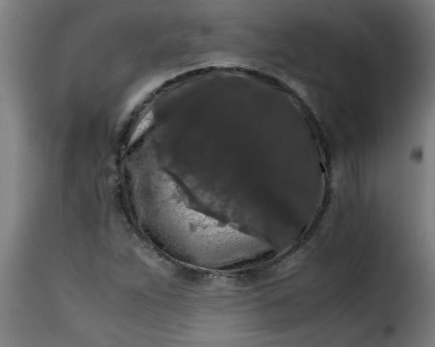 X0000115481263200911201831