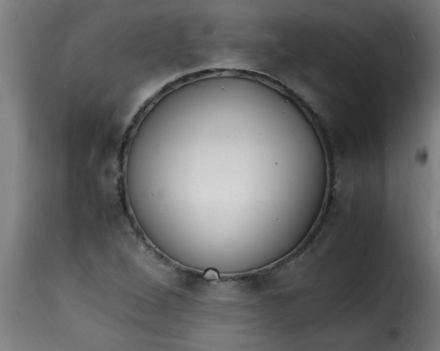 X0000115481264200911201831