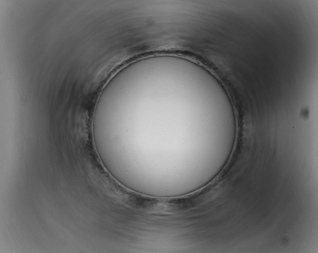 X0000115481265200911201831