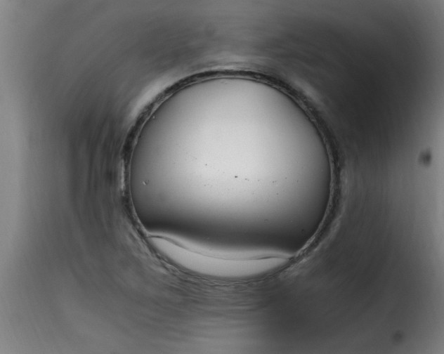 X0000115481267200911201831