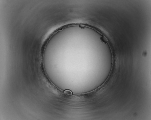 X0000115481270200911201831