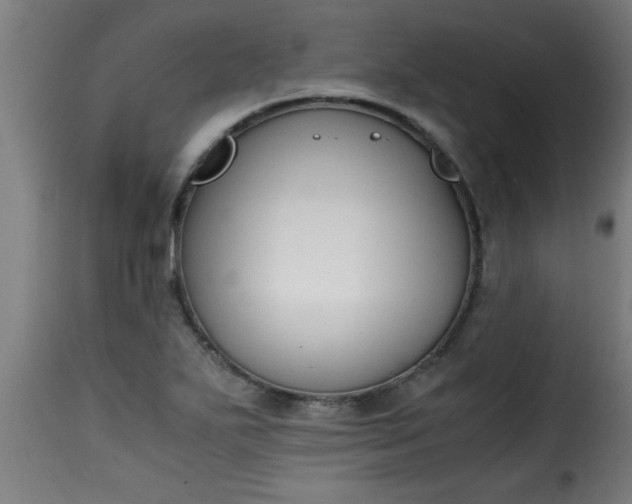 X0000115481271200911201831