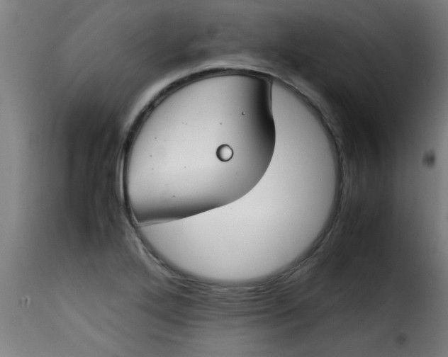 X0000115481272200911201831