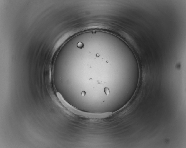 X0000115481274200911201831