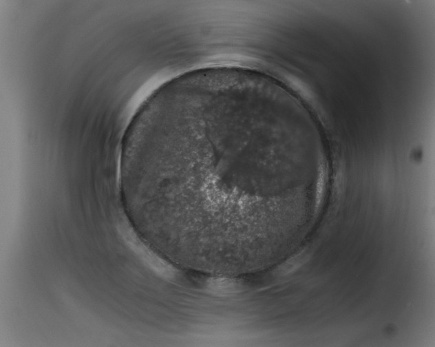 X0000115481275200911201831