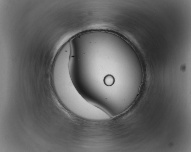 X0000115481277200911201831