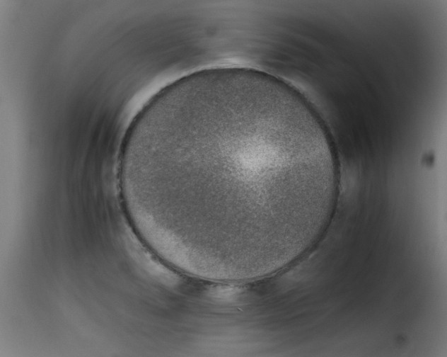 X0000115481278200911201831