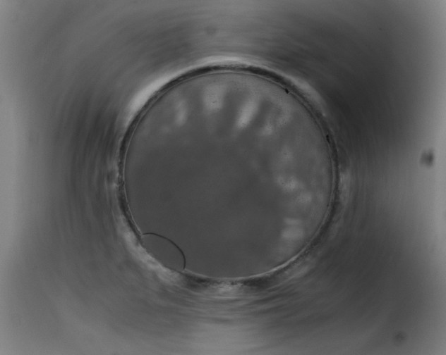 X0000115481279200911201831