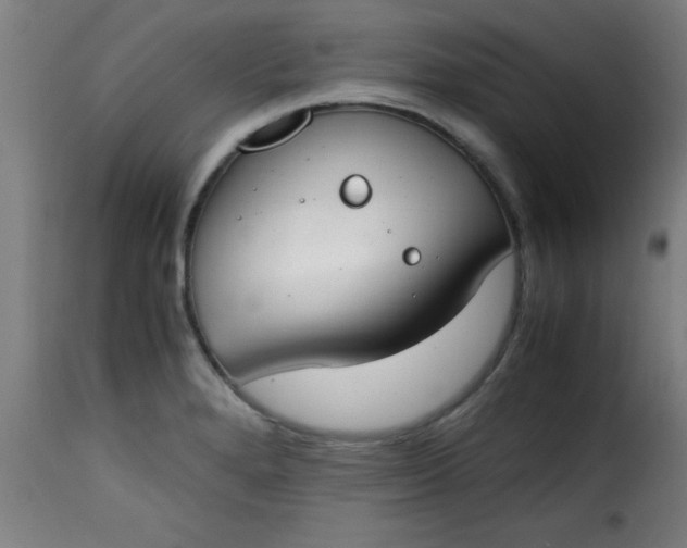 X0000115481280200911201831