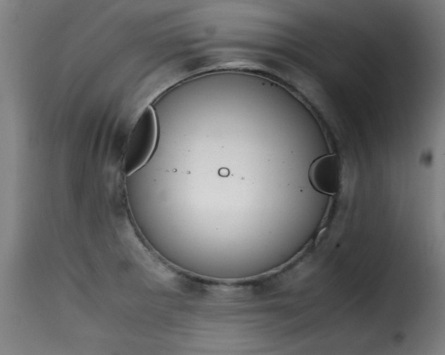 X0000115481281200911201831