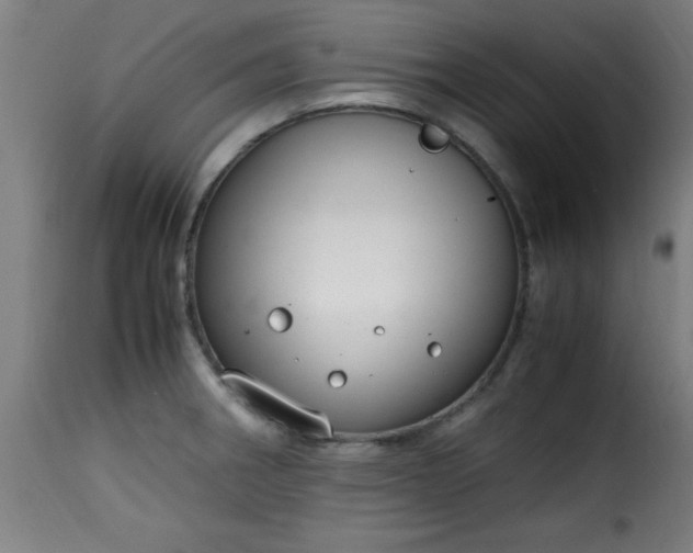 X0000115481282200911201831