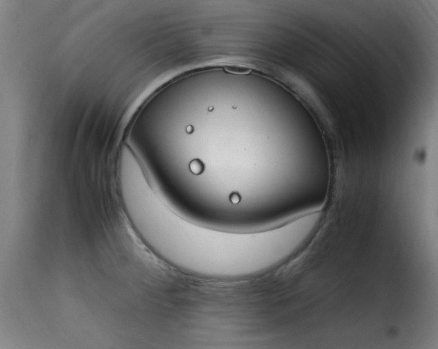 X0000115481284200911201831