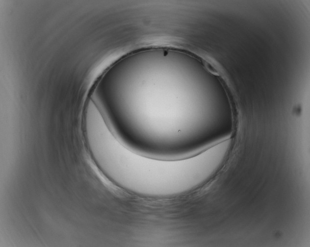 X0000115481285200911201831