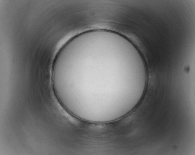 X0000115481286200911201831