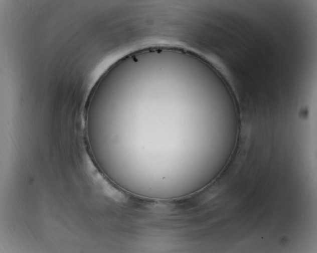 X0000115481287200911201831