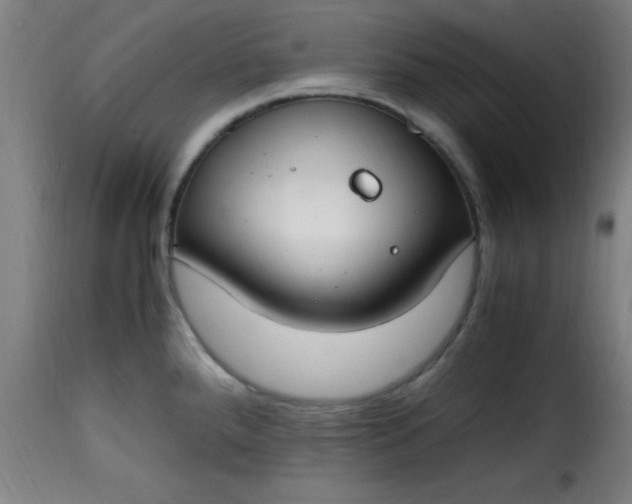 X0000115481288200911201831