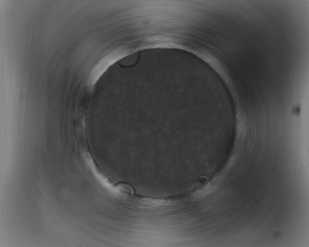 X0000115481289200911201831