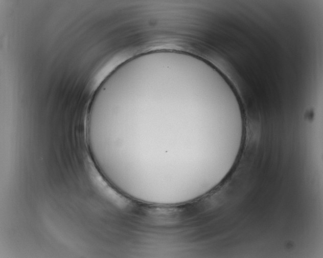 X0000115481290200911201831