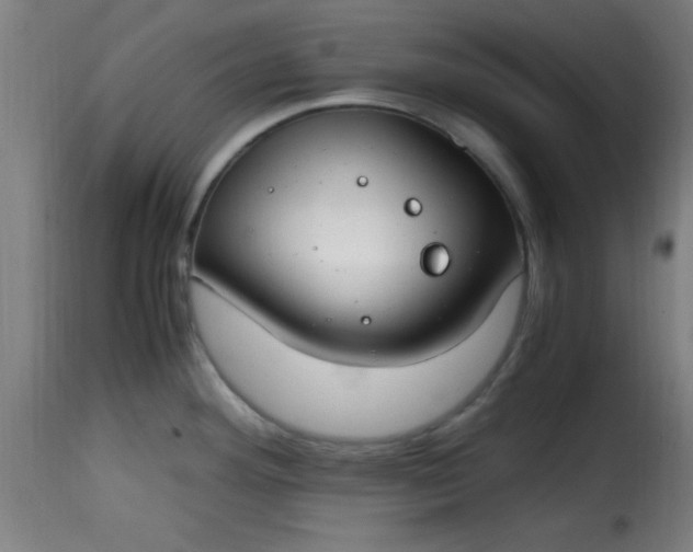 X0000115481292200911201831