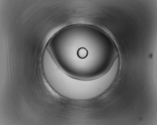 X0000115481293200911201831