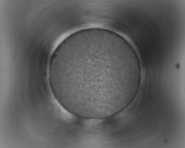 X0000115481294200911201831