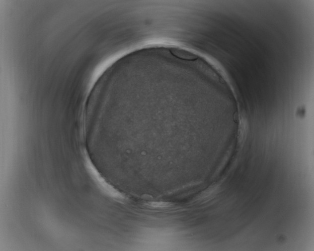 X0000115481295200911201831