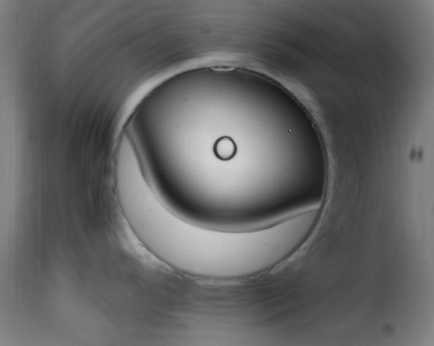 X0000115481296200911201831