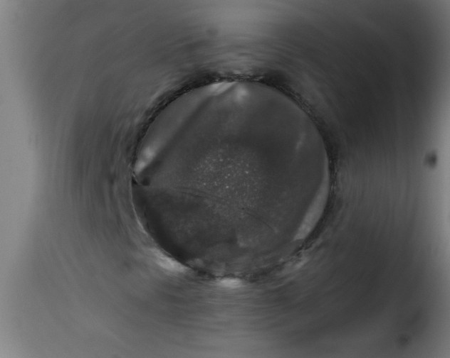 X0000115481297200911201830