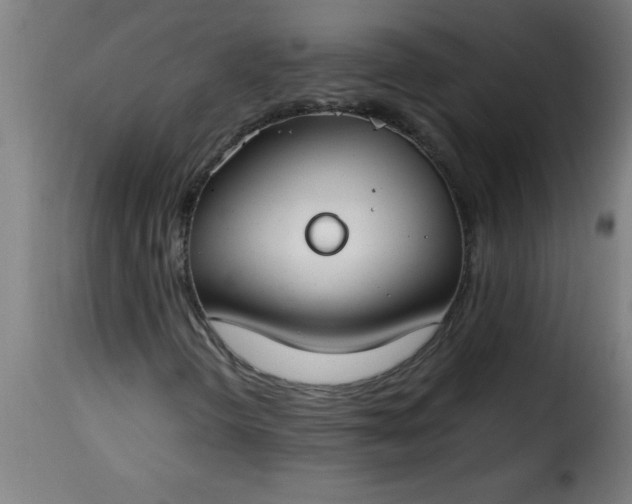 X0000115481298200911201830