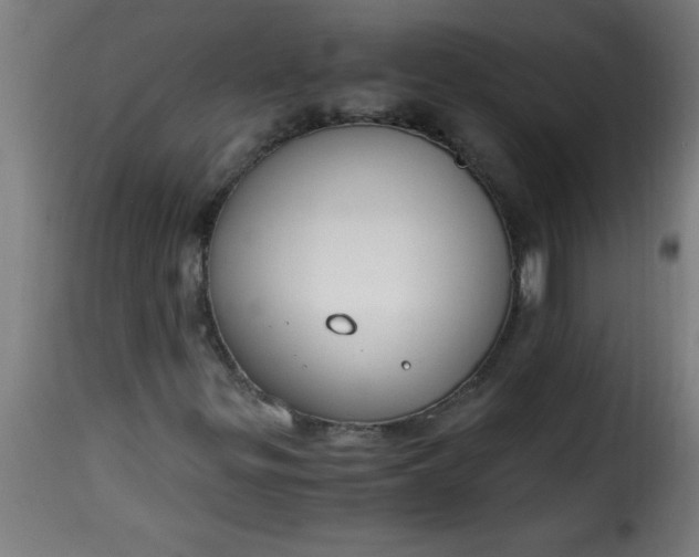 X0000115481299200911201830