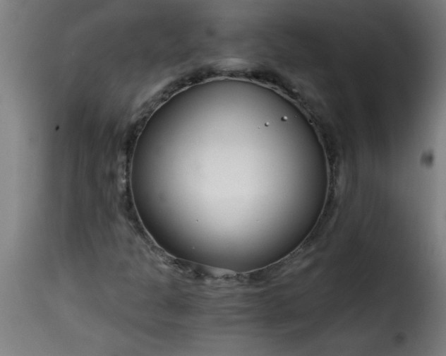 X0000115481301200911201830