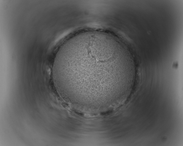 X0000115481302200911201830