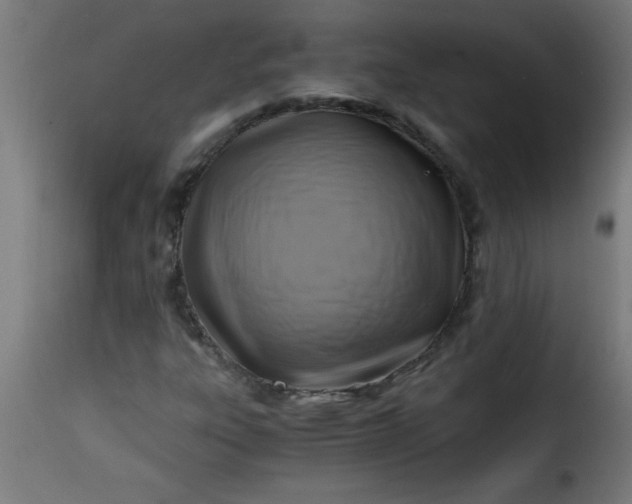 X0000115481303200911201830