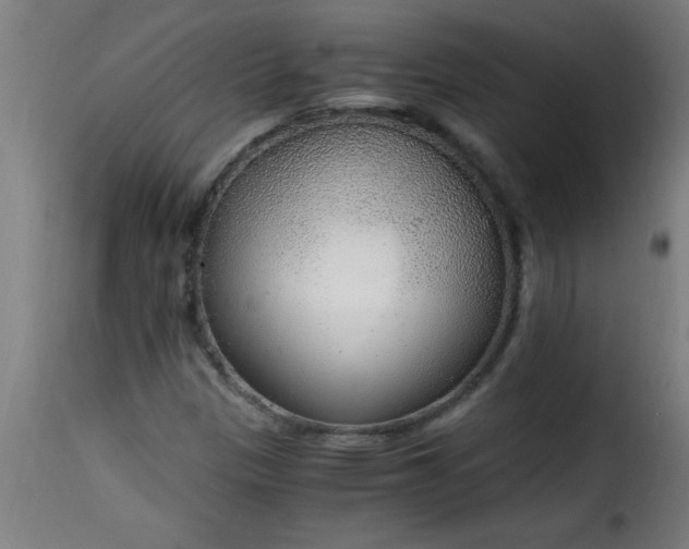 X0000115481305200911201830