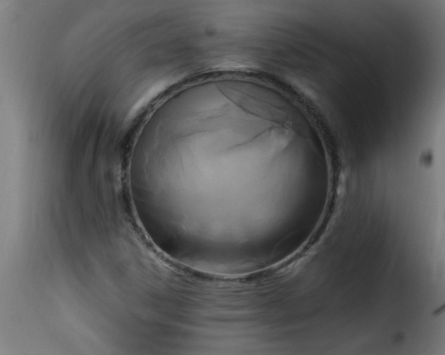 X0000115481306200911201830