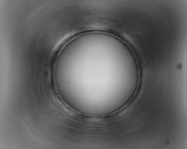 X0000115481307200911201830