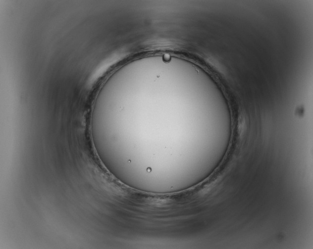 X0000115481309200911201830