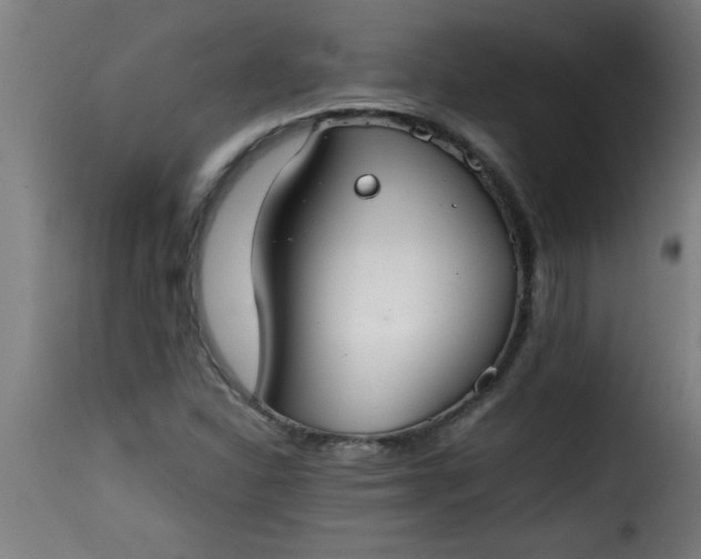 X0000115481310200911201830