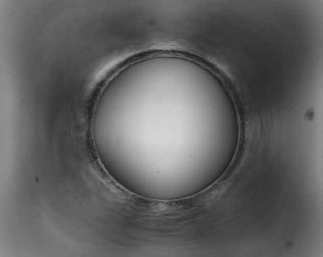 X0000115481311200911201830