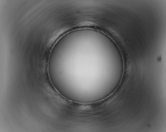 X0000115481313200911201830