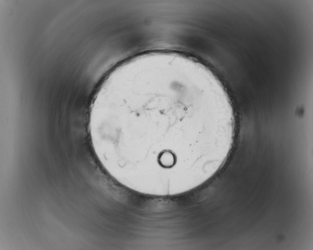 X0000115481314200911201830