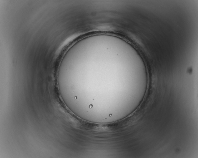 X0000115481315200911201830